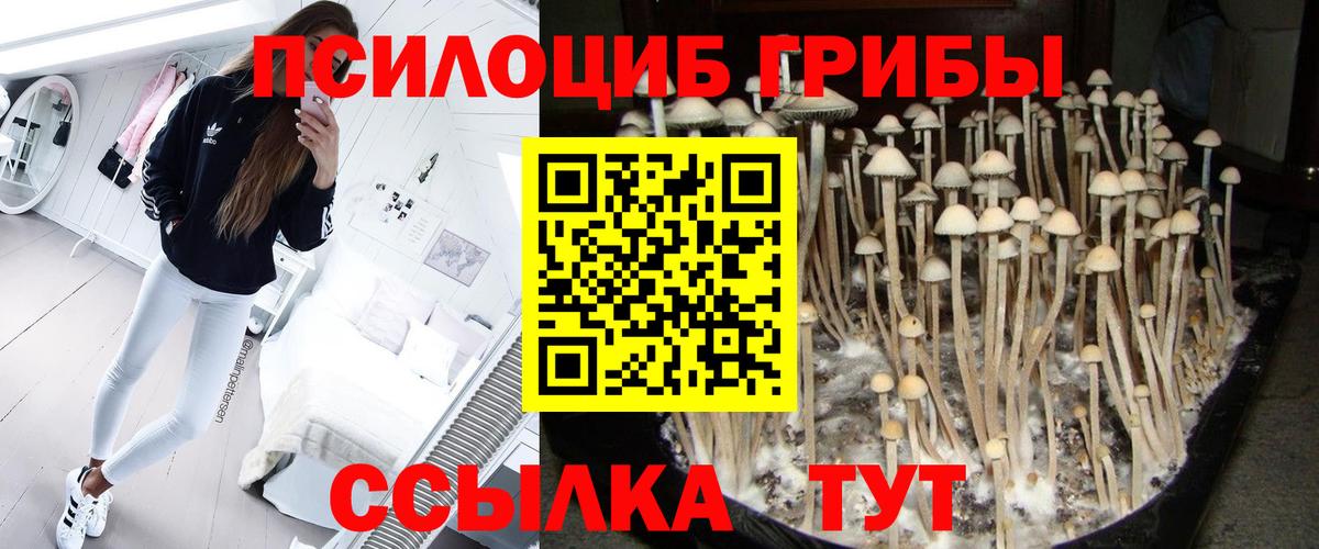 Иваново  Галлюциногенные грибы GOLDEN TEACHER  Вход с VPN 
